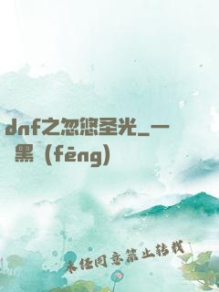 dnf之忽悠圣光