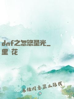 dnf之忽悠圣光