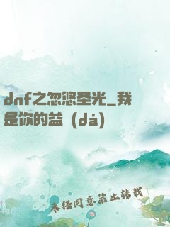 dnf之忽悠圣光
