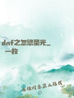 dnf之忽悠圣光