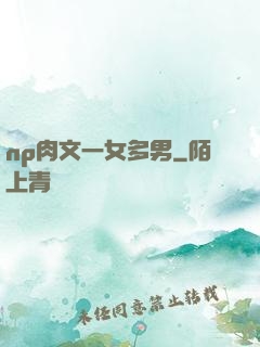 np肉文一女多男