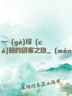 一個(gè)探測(cè)器的回家之路