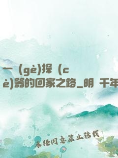一個(gè)探測(cè)器的回家之路