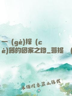 一個(gè)探測(cè)器的回家之路