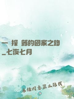 一個探測器的回家之路