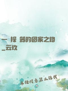 一個探測器的回家之路