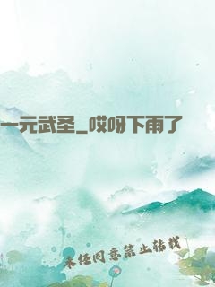 一元武圣
