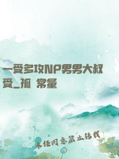 一受多攻NP男男大叔受