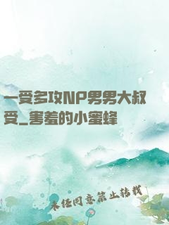 一受多攻NP男男大叔受
