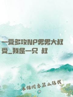 一受多攻NP男男大叔受