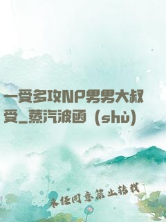 一受多攻NP男男大叔受