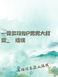 一受多攻NP男男大叔受