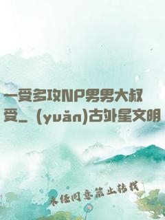 一受多攻NP男男大叔受