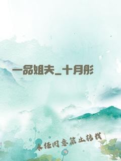 一品姐夫