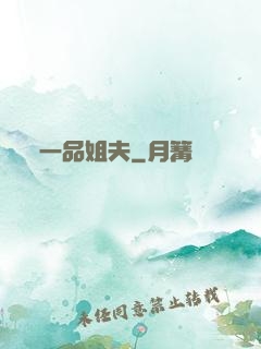 一品姐夫