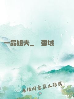 一品姐夫