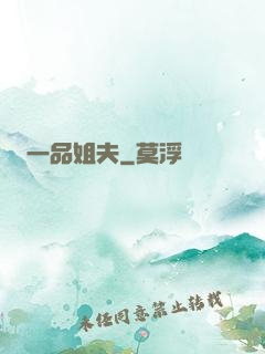 一品姐夫