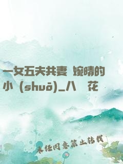 一女五夫共妻蘇婉晴的小說(shuō)