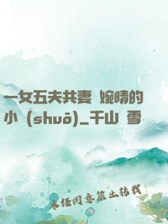 一女五夫共妻蘇婉晴的小說(shuō)