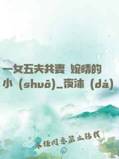 一女五夫共妻蘇婉晴的小說(shuō)
