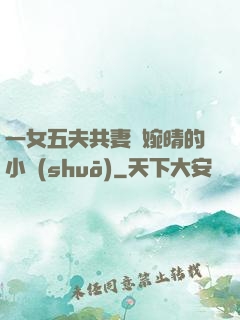 一女五夫共妻蘇婉晴的小說(shuō)