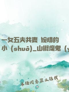 一女五夫共妻蘇婉晴的小說(shuō)