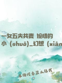 一女五夫共妻蘇婉晴的小說(shuō)