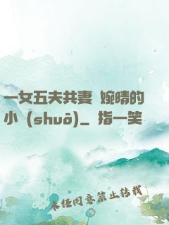 一女五夫共妻蘇婉晴的小說(shuō)