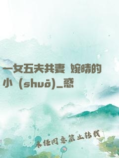一女五夫共妻蘇婉晴的小說(shuō)