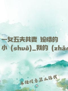 一女五夫共妻蘇婉晴的小說(shuō)