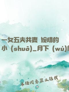 一女五夫共妻蘇婉晴的小說(shuō)