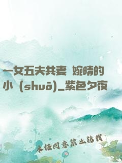 一女五夫共妻蘇婉晴的小說(shuō)