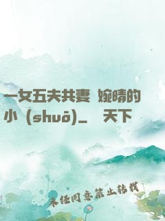 一女五夫共妻蘇婉晴的小說(shuō)
