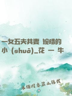 一女五夫共妻蘇婉晴的小說(shuō)