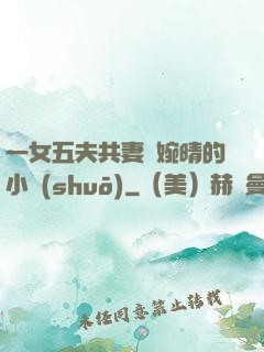一女五夫共妻蘇婉晴的小說(shuō)