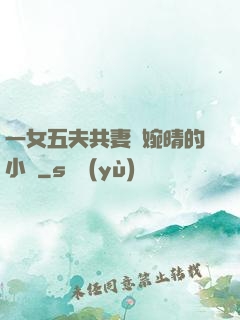 一女五夫共妻蘇婉晴的小說