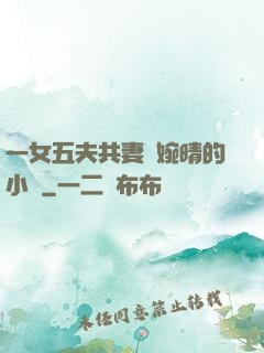 一女五夫共妻蘇婉晴的小說