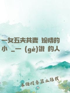 一女五夫共妻蘇婉晴的小說