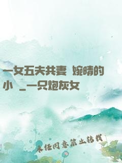一女五夫共妻蘇婉晴的小說