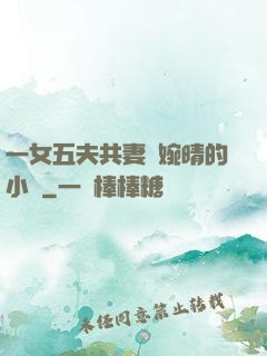 一女五夫共妻蘇婉晴的小說