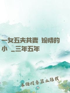 一女五夫共妻蘇婉晴的小說