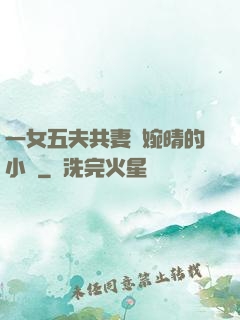一女五夫共妻蘇婉晴的小說