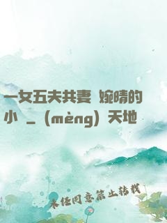 一女五夫共妻蘇婉晴的小說