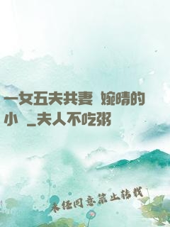 一女五夫共妻蘇婉晴的小說