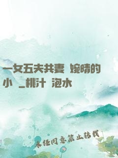 一女五夫共妻蘇婉晴的小說