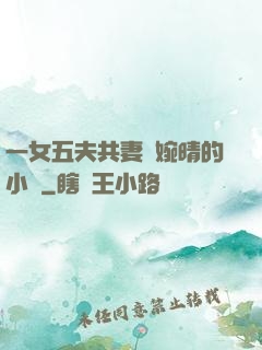 一女五夫共妻蘇婉晴的小說