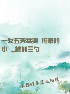 一女五夫共妻蘇婉晴的小說
