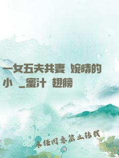 一女五夫共妻蘇婉晴的小說