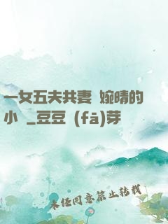 一女五夫共妻蘇婉晴的小說