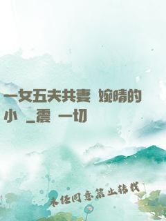 一女五夫共妻蘇婉晴的小說